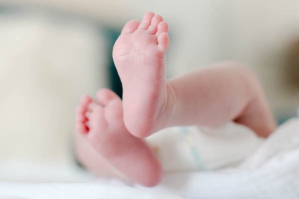 Türkiye İstatistik Kurumu Başkanlığı