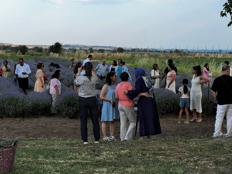 18-29 Haziran tarihleri arasında