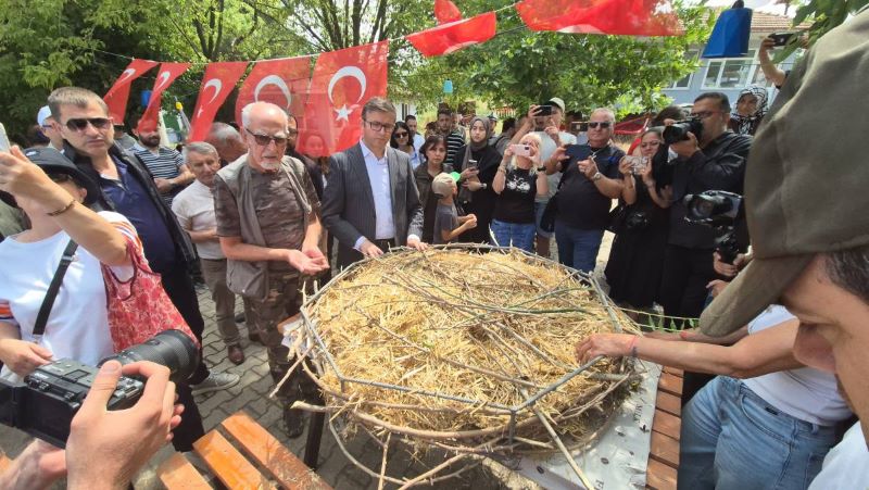 Kuşların önemli göç rotalarından