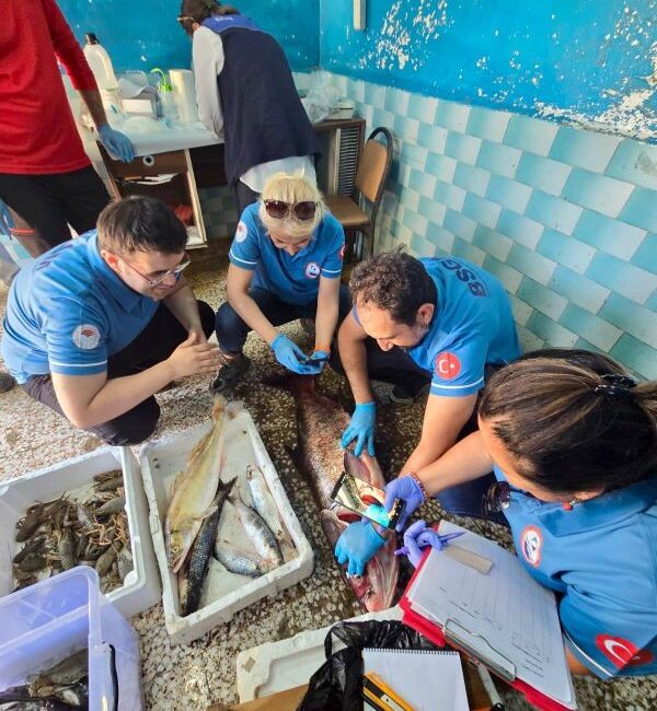 Edirne’de istilacı su canlılarının