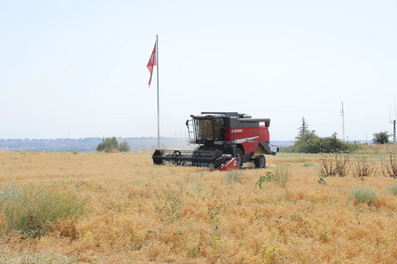 Edirne Belediyesi, tarımsal üretim
