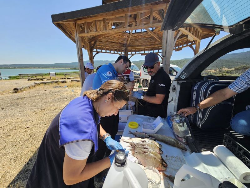 Edirne'deki akarsu ve barajlarda