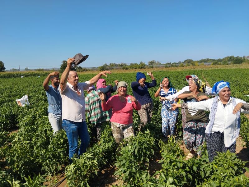 Edirne Tava Ciğerinin yanında
