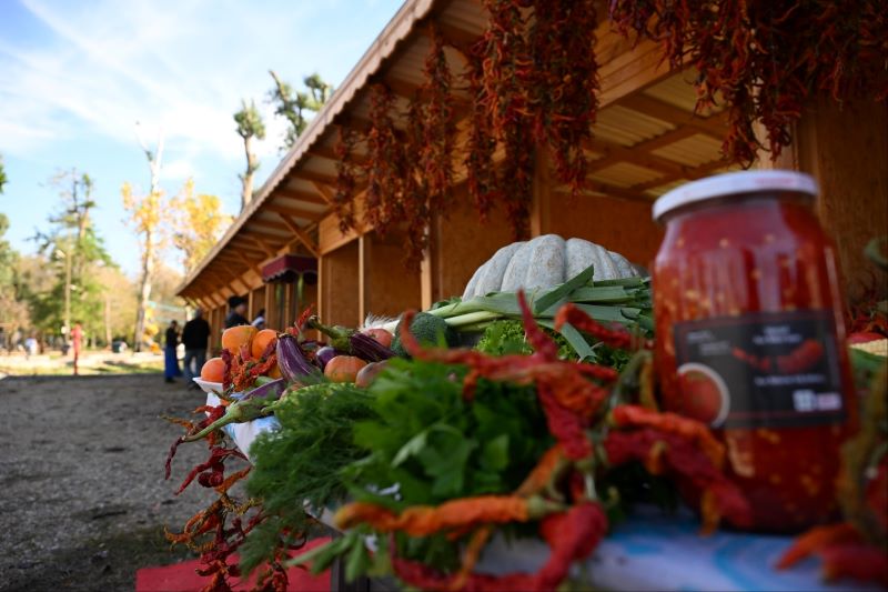 Edirne Meriç Nehri kıyısında
