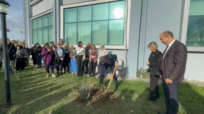 SAĞLIKÇILAR ZEYTİN AĞACI DİKTİ