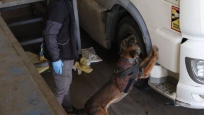 Kapıkule Gümrük Kapısı'nda şüphe üzerine