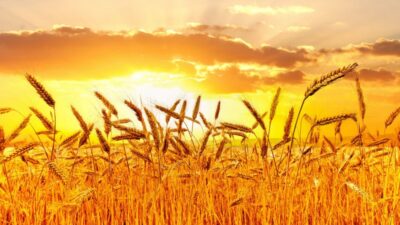 Edirne’de son dönemde etkili olan