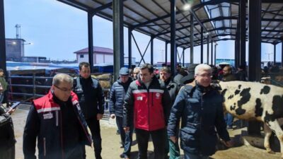 Havsa’da kurulan Canlı Hayvan Pazarı,
