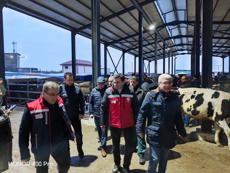 Havsa’da kurulan Canlı Hayvan Pazarı,