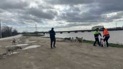 Edirne Belediyesi ekipleri Bosnaköy ve