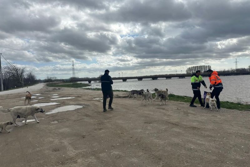 Edirne Belediyesi ekipleri Bosnaköy ve