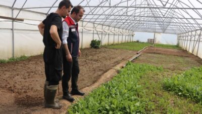 Değirmenyeni Köyü’nde kurulan seralar yerinde incelendi, üreticilerle birlikte fide dikimi