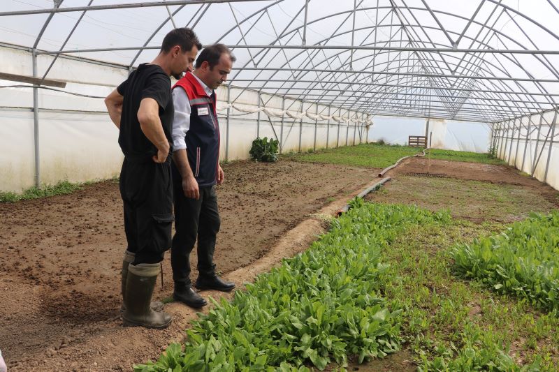Değirmenyeni Köyü’nde kurulan seralar yerinde incelendi, üreticilerle birlikte fide dikimi