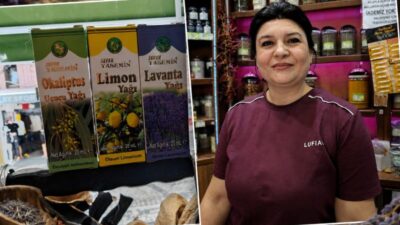 Yaz aylarında artan sivrisinek ve böcek sorununa karşı doğal yöntemleri