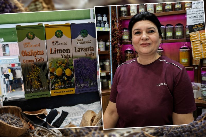 Yaz aylarında artan sivrisinek ve böcek sorununa karşı doğal yöntemleri