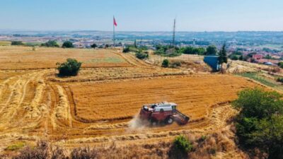 Edirne Belediyesi, üreten belediyecilik anlayışı doğrultusunda belediyeye ait tarım arazilerinde