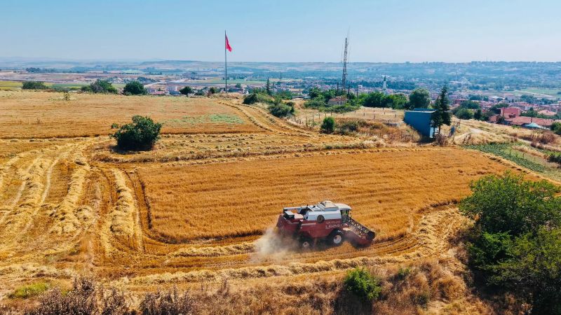 Edirne Belediyesi, üreten belediyecilik anlayışı doğrultusunda belediyeye ait tarım arazilerinde