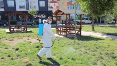 Edirne Belediyesi, yaz aylarında artış gösteren kene, sivrisinek ve pireye