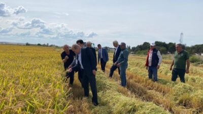 YENİ Parti Edirne Kurucu İl Başkanı Yücel Balkanlı, beraberindeki milletvekilleri